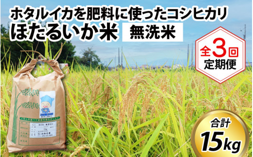 【先行予約】【新米】ほたるいか米(無洗米5kg)×3回 計15kg【3ヶ月定期便】25年10月開始【訳あり 米 コシヒカリ こしひかり ほたるいか ホタルイカ お米 ブランド米 富山 滑川】