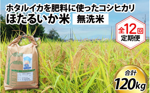 【訳あり】ほたるいか米（無洗米10kg）×12回 計120kg【12ヶ月定期便】令和7年産 訳あり 米 コシヒカリ こしひかり 頒布会 産直 ほたるいか ホタルイカ お米 ブランド米 富山 滑川 農家直送 お米 おこめ こしひかり ホタルイカ 蛍烏賊 富山県 滑川市 コンシェルジュ 訳あり　kome 10キロ ごはん おにぎり 時短 手軽