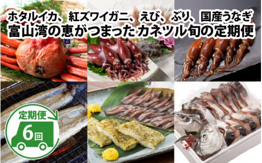 【数量限定】富山湾の恵がつまった カネツル旬の定期便(ホタルイカ、紅ズワイガニ、えび、ぶり、国産うなぎ)【 頒布会 人気 旬 おつまみ ご当地 定期 珍味 海鮮 カネツル砂子商店 ほたるいか 海老 鰤 鰻 ブリ エビ ウナギ 紅ずわいがに ずわいがに いか イカ ずわい ズワイ ズワイガニ 魚介 魚貝 国産 白焼き 活漬け 塩ぶり 塩ブリ 白えび 白エビ 白海老 】