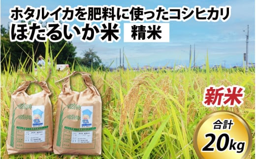 【先行予約】【新米】ほたるいか米(新米/精米20kg)25年10月以降順次配送予定【訳あり 米 コシヒカリ こしひかり ほたるいか ホタルイカ お米 ブランド米 富山 滑川】