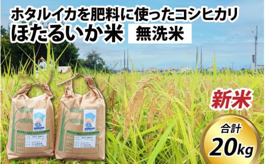【先行予約】【新米】ほたるいか米(新米/無洗米20kg)25年10月以降順次配送予定 【訳あり 米 コシヒカリ こしひかり ほたるいか ホタルイカ お米 ブランド米 富山 滑川 令和7年産】