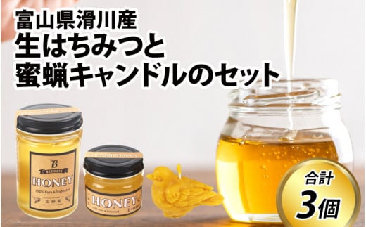 【先行予約】生はちみつと蜜蝋キャンドルのセット　※25年6月以降順次発送予定 [A-033001]　国産 天然　 ( はちみつ ハチミツ 蜂蜜 国産ハチミツ 純粋はちみつ ハニー 人気 おすすめ  )