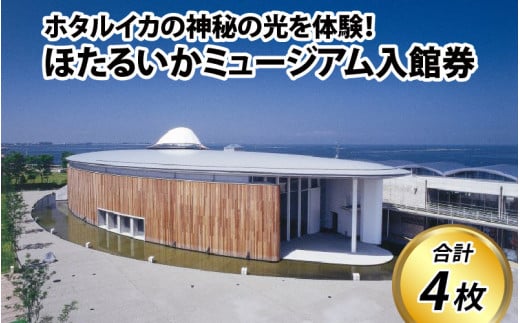 ほたるいかミュージアム入館券 / 4枚