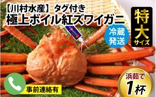 【順次配送中】タグ付き極上ボイル紅ズワイガニ 冷蔵配送 川村水産※発送前に在宅確認の電話連絡をいたします!【25年度9月下旬以降順次配送】【紅ズワイガニ カニ ズワイガニ 紅ずわいがに かに 紅ズワイガニ カニ ズワイガニ 紅ずわいがに かに 紅ズワイガニ カニ ズワイガニ 紅ずわいがに かに 紅ズワイガニ カニ ズワイガニ 紅ずわいがに 冷蔵 チルド 北陸 滑川 ブランド蟹】