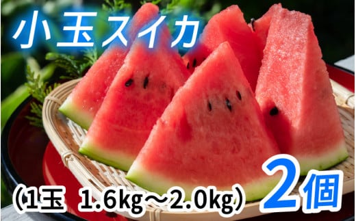 【先行予約】小玉スイカ(ピノガール) 種まで食べられるスイカ *26年7月上旬以降順次発送 フルーツ 夏 スイカ 西瓜 果物 くだもの すいか ピノガール ピノ・ガール 小玉すいか 滑川市 富山 北陸 【2026年7月上旬以降順次発送】