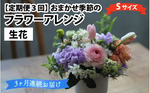 【定期便3回】おまかせ季節のフラワーアレンジ(生花)Sサイズ×3ヶ月 お好み 日時指定可能 母の日