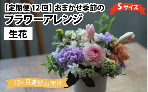 【定期便12回】おまかせ季節のフラワーアレンジ(生花)Sサイズ×12ヶ月 お好み 日時指定可能 母の日