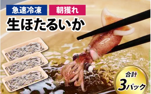 生 ホタルイカ 急速冷凍 【 急速冷凍 生 イカ刺身 しゃぶしゃぶ 朝とれ ほたるいか 蛍烏賊 いか イカ 烏賊 海鮮 小分け 3パック グルメ おつまみ 肴 カネツル砂子商店】[A-002011]