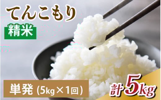 【先行予約】25年10月中旬以降順次発送　精米 選べる定期便 単発 5kg   富山県滑川産「てんこもり」与文のお米 / 産地直送 袋 ブランド米 お米 白米 ご飯 ごはん 富山 滑川市 アグリめぐみ 頒布会 農家直送 おこめ コンシェルジュ [A-050004]