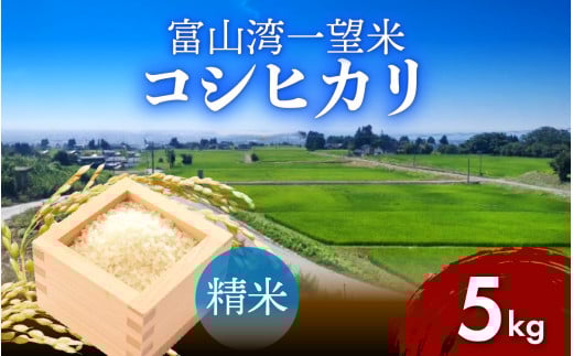 [先行予約]新米 富山湾一望米 コシヒカリ 精米 [容量5kg][2025年10月より順次発送]農家直送 米 定期便 選べる 精米 富山県滑川産お米 産地直送 袋 ブランド米 お米 白米 こしひかり