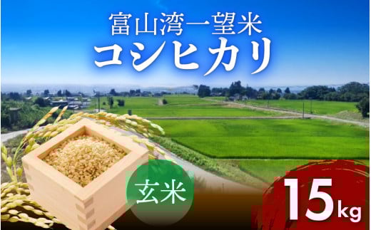 [先行予約]新米 富山湾一望米 コシヒカリ 玄米 [容量15kg][2025年10月より順次発送]農家直送 米 定期便 選べる 玄米 富山県滑川産お米 産地直送 袋 ブランド米 お米 白米 こしひかり