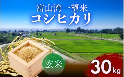 【先行予約】新米 富山湾一望米 コシヒカリ 玄米 【容量30kg】【2025年10月より順次発送】 農家直送 米 定期便 選べる 玄米 富山県滑川産お米 産地直送 袋 ブランド米 お米 白米 こしひかり