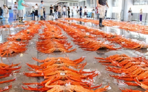 （８）産業振興に関する事業