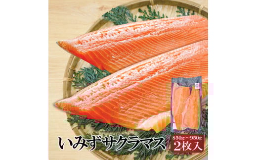 魚 鮭 切身 いみずサクラマス 2枚入(約850g~約950g)おつまみ 弁当 サーモン グルメ 食品/富山県射水市