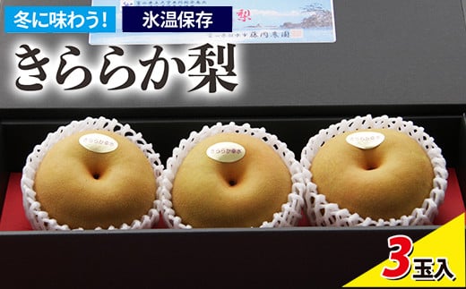 冬に味わう!藤岡さんが作った氷温保存きららか梨 3玉入り | 梨 ナシ 果物 フルーツ ※2025年11月下旬~2026年4月上旬頃に順次発送予定 ※離島への配送不可