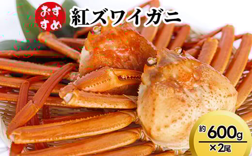 【おすすめ】紅ズワイガニ約600g×2尾 ※2025年9月中旬～2026年3月下旬頃に順次発送予定