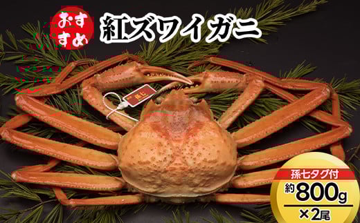 【おすすめ】紅ズワイガニ約800g×2尾(孫七タグ付) ※2025年9月中旬~2026年3月下旬頃に順次発送予定