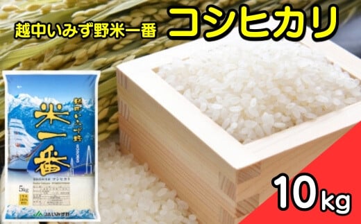 【R7年度産米】越中いみず野米一番 10kg(コシヒカリ)|米 お米 令和7年産米 ブランド米 銘柄米 等級検査 1等米 こめ 10キロ 送風乾燥 色彩選別 低温貯蔵 白米 小分け 送料無料 富山県産 射水市産 ※2025年9月中旬~2026年8月下旬頃に順次発送予定
