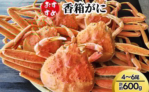 【おすすめ】香箱がに4~6尾（計約600g） ※2025年11月中旬～2026年1月上旬頃に順次発送予定