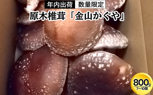 【年内出荷】数量限定 原木椎茸「金山かぐや」射水市金山産 /おせち材料 正月 料理 きのこ 野菜 山菜/富山県射水市 ※2025年12月中旬～2026年4月下旬頃に順次発送予定