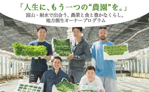 【射水市】【農業】【体験】スプラウト農家(豆苗、カイワレ、ブロッコリースプラウト)オーナー権