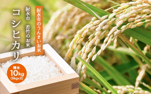 【R7年度産米 新米予約】 [人気のブランド米]コシヒカリ「若竹のお米 」　10kg（5kg×2）【精米】｜米 新米 先行予約 令和7年産米 ブランド米 銘柄米 こめ 白米 先行予約 送料無料 富山県 射水市 ※離島への配送不可