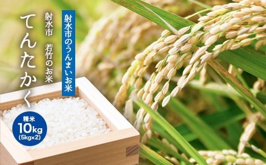 【R7年度産米 新米予約】[人気のブランド米]てんたかく 「若竹のお米 」　10kg（5kg×2）【精米】｜米 新米 先行予約 令和7年産米 ブランド米 銘柄米 こめ 白米 先行予約 送料無料 富山県 射水市