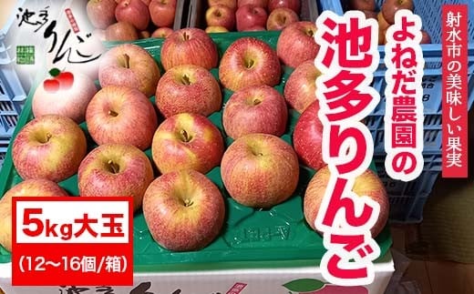 【射水のおいしい果実】【林檎】 よねだ農園の池多りんご サンふじ 5kg大玉(12~16個/箱) ※沖縄・離島への配送不可 ※2025年11月中旬~12月中旬頃に順次発送予定