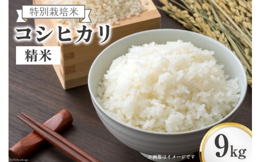 米 上市町西種産  特別栽培米 コシヒカリ 精米 9kg [種農園 富山県 上市町 32280154] お米 コメ ご飯 ごはん こしひかり 富山県産