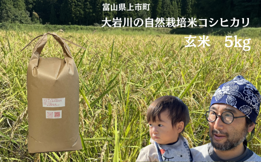 【令和7年産】米 上市町産  大岩川の自然栽培米コシヒカリ（玄米）5kg [有吉自然農場] お米 コメ ご飯 ごはん こしひかり 富山県産