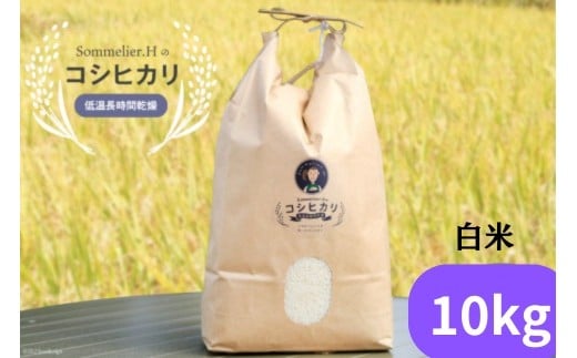 【令和6年産】減農薬 上市町湯神子産コシヒカリ（白米）10kg　 [ソムリエH 富山県 上市町 32280232-r6-04] 　お米 コメ ご飯 ごはん 玄米ご飯 玄米ごはん こしひかり