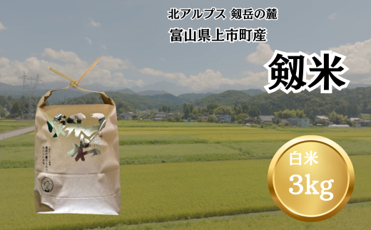 【令和7年産】上市町産コシヒカリ「剱米」（白米）3kg　 [ソムリエH 富山県 上市町 32280236-r6-02] 　お米 コメ ご飯 ごはん ご飯 ごはん こしひかり