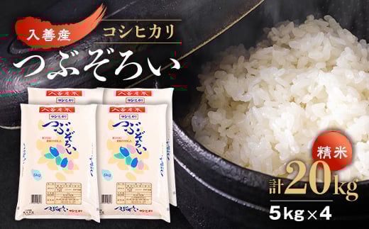 <令和7年産>入善産コシヒカリ20kg【1212928】