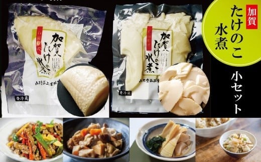 【真空包装で手軽に使える】加賀たけのこ水煮 小セット 野菜