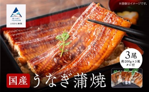 【真空パック】国産うなぎ蒲焼 約200g×3尾 かば焼き タレつき 関西風 | 小松市 石川県 【株式会社竹本商店】