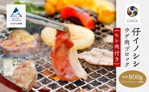 仔イノシシ ウデ肉 ブロック(ヒレ肉付き）800g