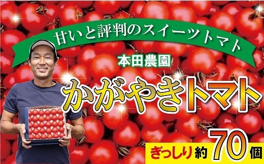 【人気のスイーツトマト】本田農園のかがやきトマト2箱(約70個)とまと 甘い 野菜