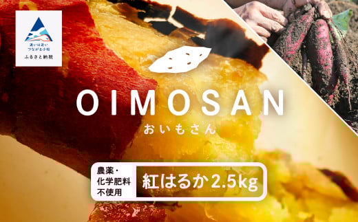 さつまいも おやつ 野菜【農薬・化学肥料不使用】ねっとり甘〜い おいもさん(紅はるか) 2.5kg