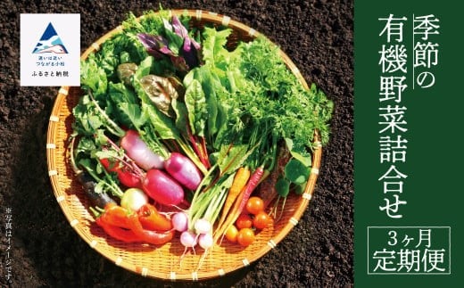季節の有機野菜詰合せ 3ヶ月定期便 やさい(約1箱 40cm×30cm×20cm目安)【西田農園】旬の野菜詰め合わせ オーガニック野菜 3回 3ヵ月 石川県 小松市