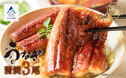 国産うなぎ蒲焼３尾