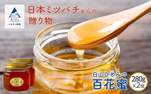純粋日本はちみつ 白山ひめみつ 国産 280g×2個【石川県小松市産】 蜂蜜 ハチミツ | 石川県 小松市 【白山ひめみつ園】