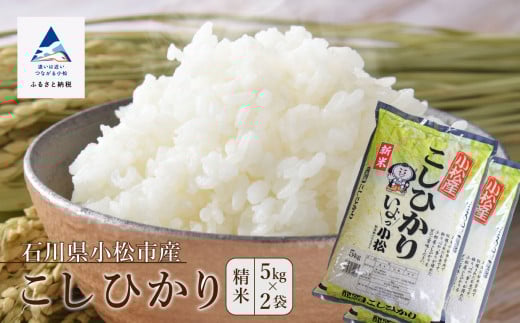 先行予約 コシヒカリ 10kg こしひかり 精米 (5kg×2袋) 令和7年度産 お米 白米 新米