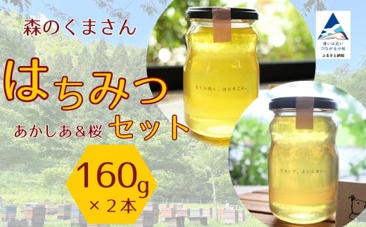 はちみつセット あかしあ&桜 160g×2本 ハチミツ アカシア 小松市 石川県 【森のくまさん】