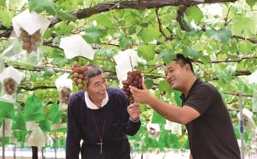 産業振興