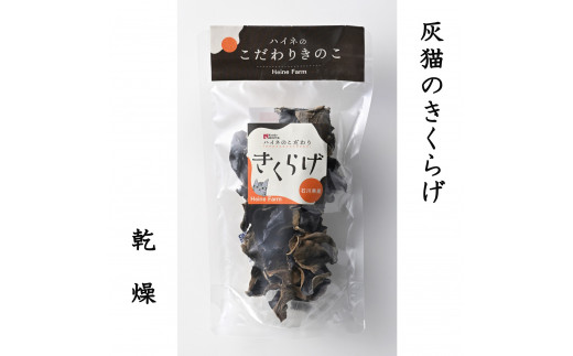 灰猫のきくらげ (乾燥) 15g × 3袋   |  国産 食物繊維 キクラゲ 生きくらげ 鉄分 木耳 きのこ キノコ
