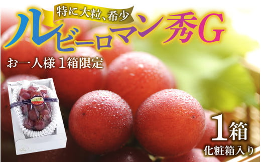 【先行予約】【2026年収穫分】  ルビーロマン 秀G(1箱)【2026年8月中旬以降順次発送】 |希少 貴重 数量限定  ぶどう ブドウ 葡萄 種なし ジューシー 甘い 大粒 大きい  宝石 るびー ギフト かほく市 能登 入口