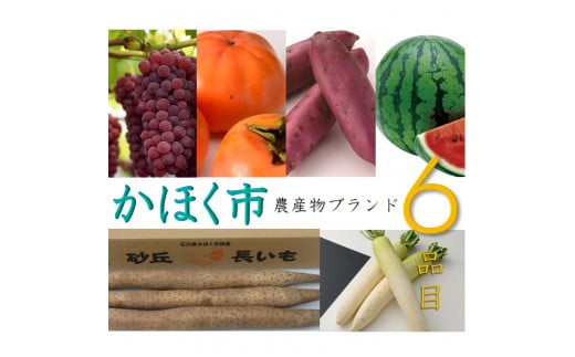 かほく市農産物ブランド6品目セット