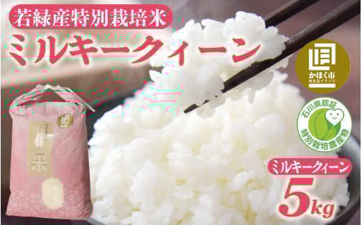 【先行予約】【発送月が選べる】若緑産 特別栽培米「ミルキークィーン」【2025年12月発送】