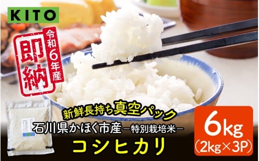 【令和6年産】石川県かほく市産 こしひかり 6kg（2kg × 3袋） 特別栽培米