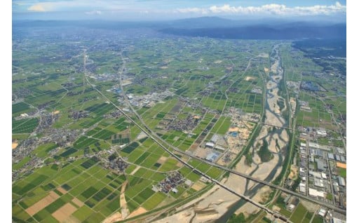 自治体におまかせ